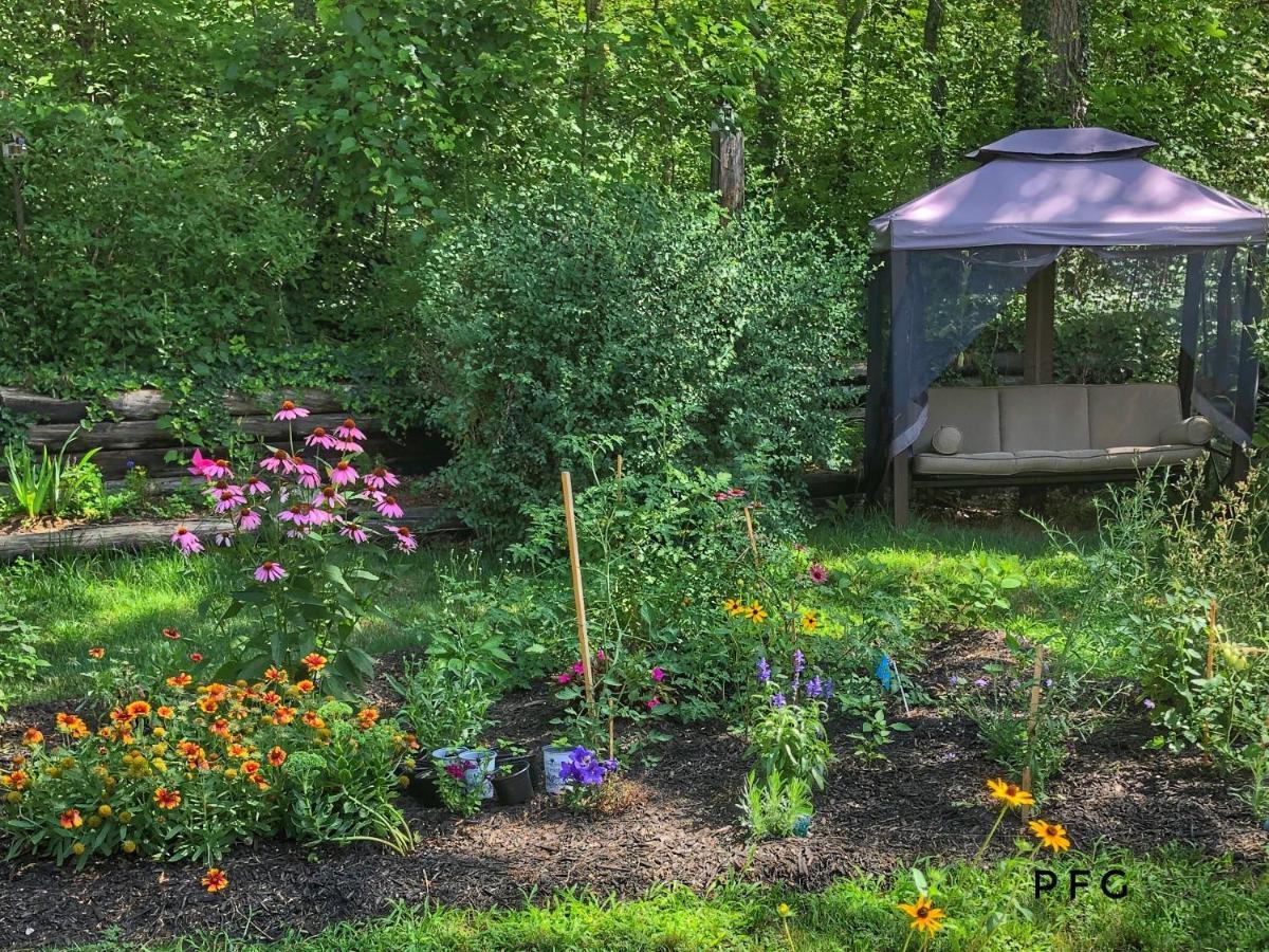 Cozy Cottage Retreat Lambton Shores Exterior photo